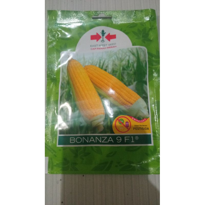 Benih Jagung manis Bonanza 9 F1Isi : 200 butir