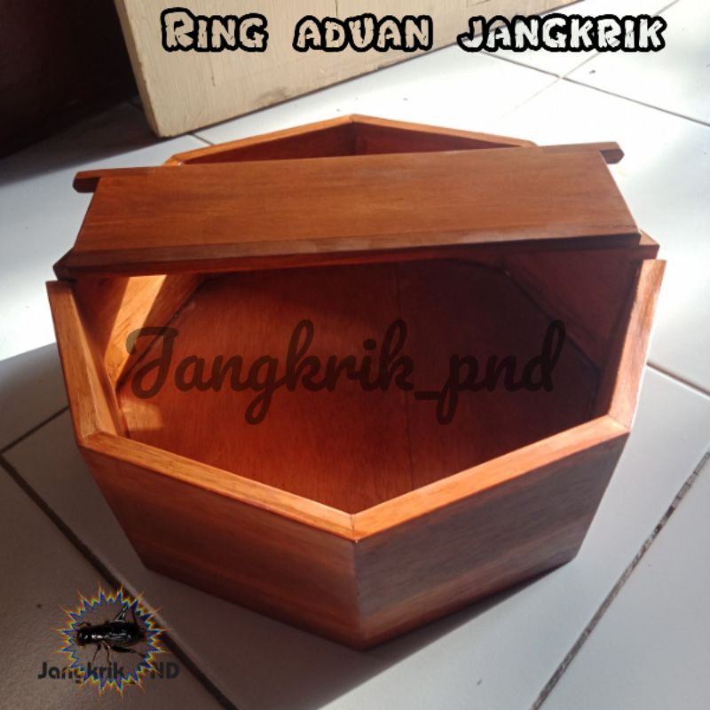 ring aduan jangkrik - arena sasana adu jangkrik kalung genggong