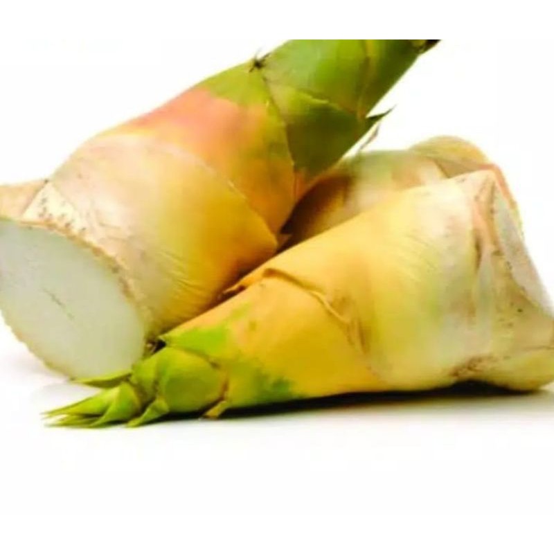 

Jual Rebung Bambu Kuning 1 Kg
