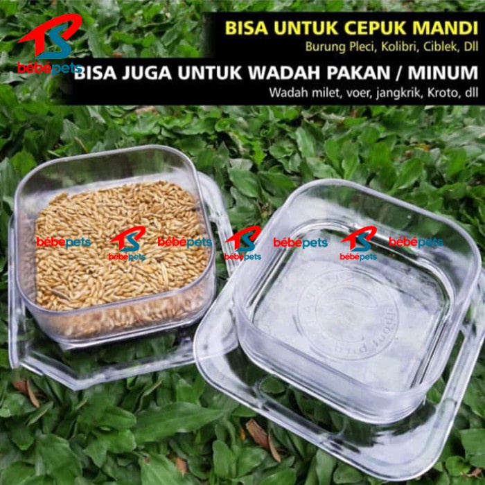 CEPUK CANGKIR KOTAK WADAH MAKAN MINUM MANDI BURUNG