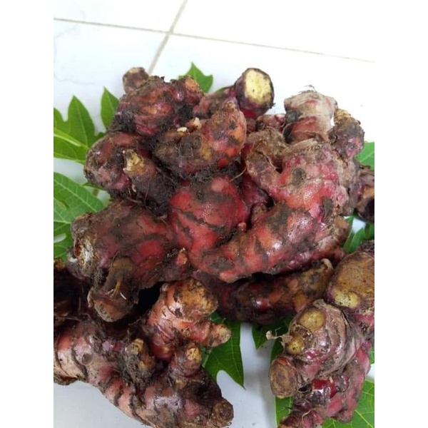 

jahe merah