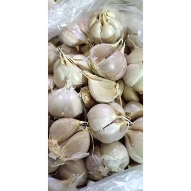 

Bawang Cutting 1Kg |Murah Meriah