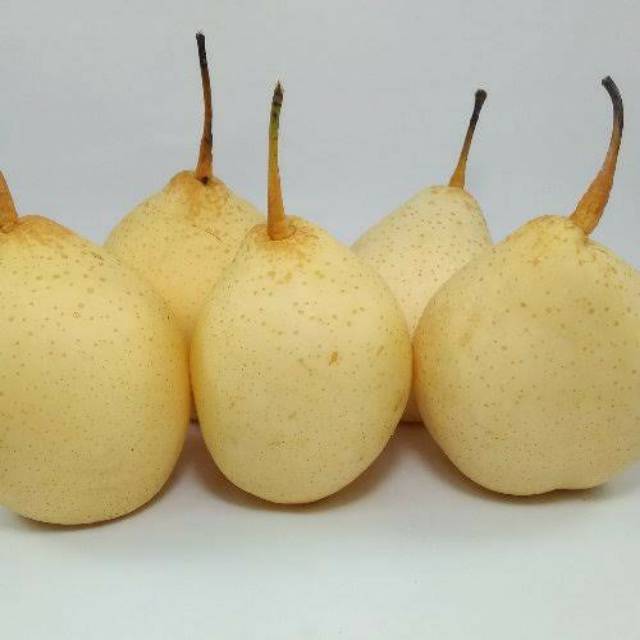 

BUAH PEAR MANIS biasa per 500gr