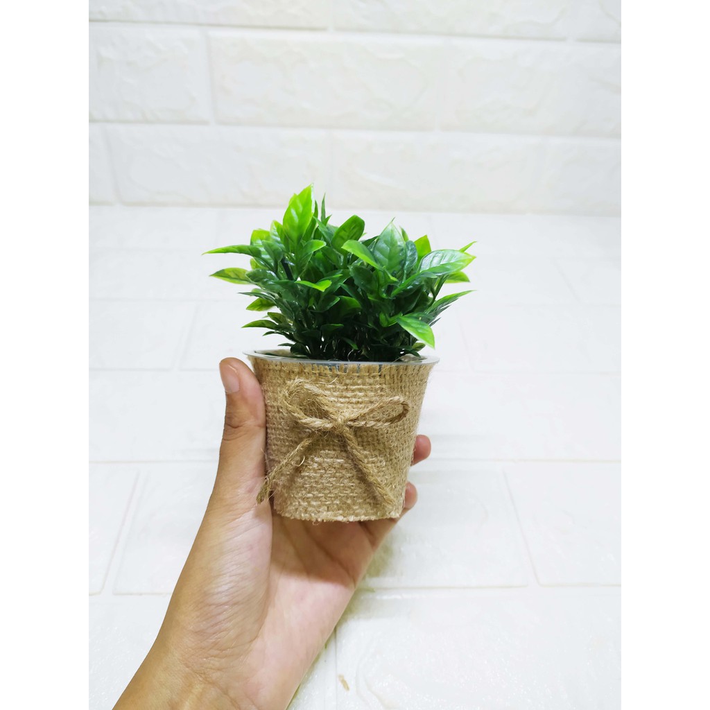 Rumputtiga Hijau Segar Pot Burlap Kecil Pajangan Unik Cantik