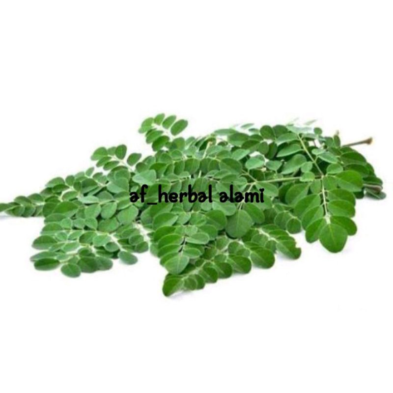 

Daun kelor 200g