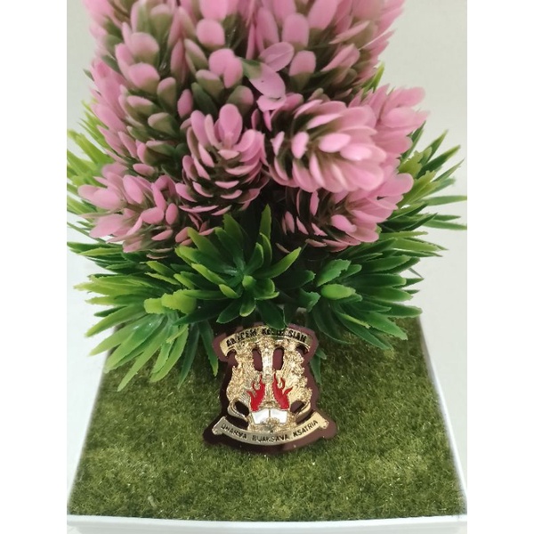 Pin Akademi Kepolisian