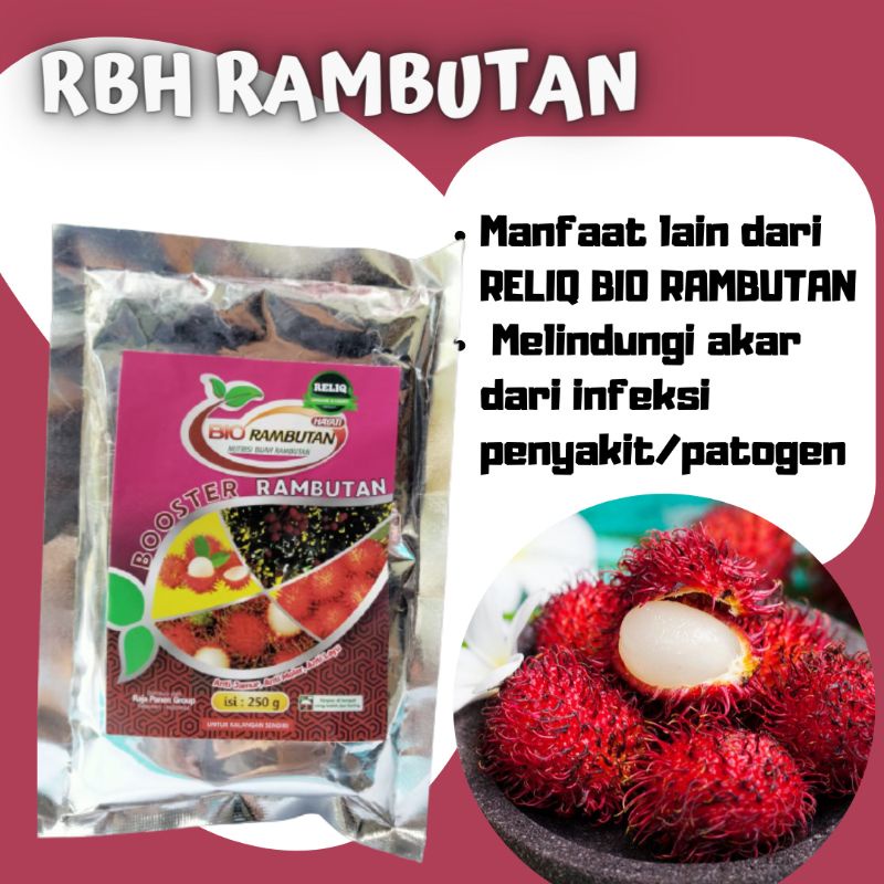 Pupuk Rambutan Agar Berbuah Lebat, Pupuk Pohon Rambutan Terbaik, RBH RAMBUTAN