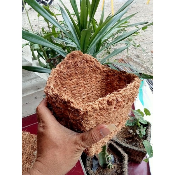 Pot anggrek sabut kelapa / Pot bunga sabut kelapa / Pot gantung sabut kelapa / Pot dari sabut kelapa