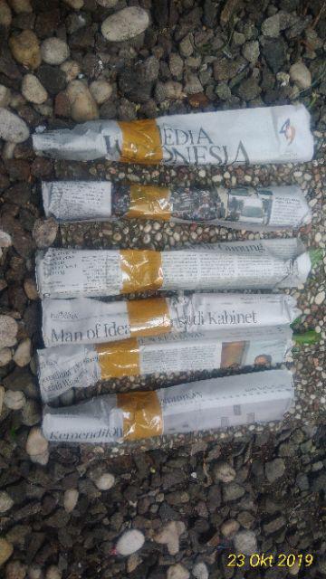 Bibit Adenium / Kamboja Jepang Tumpuk Nomor 28-36