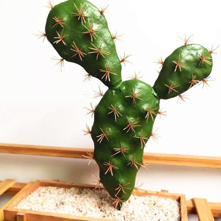 Download Ehe ist wie ein kaktus Free