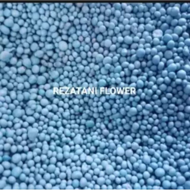 pupuk buah dan bunga NPK 16-16-16 @500 gram/pupuk NPK/pupuk buah dan bunga