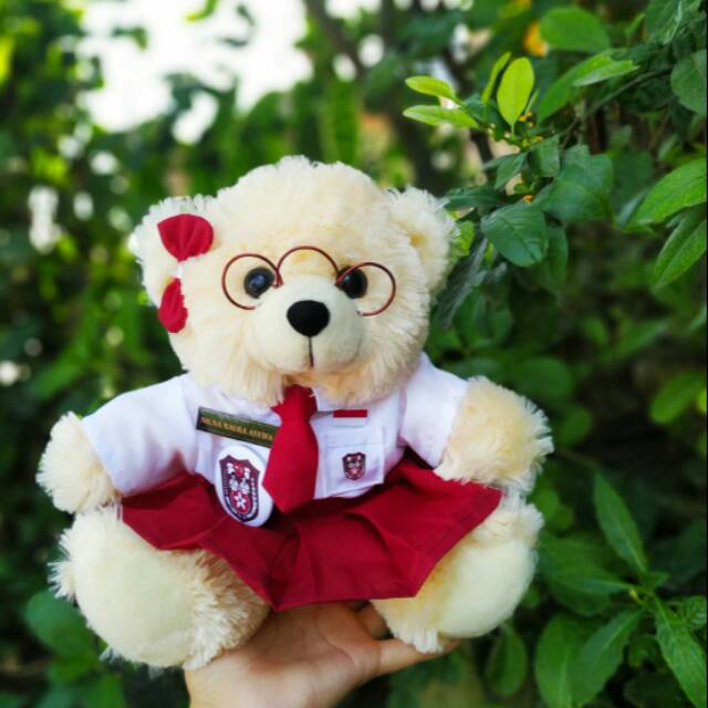 Graduation Doll Schooll Uniform