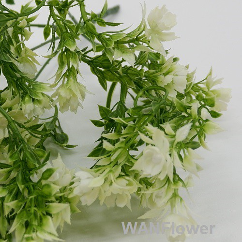 WANFLOWER Daun X5 * ALL