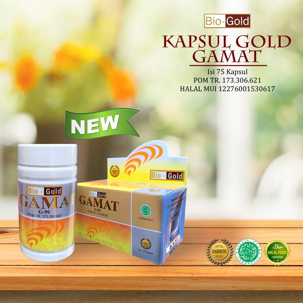 Kapsul Ekstrak Gamat Emas Bio Gold Original Bpom Indonesia