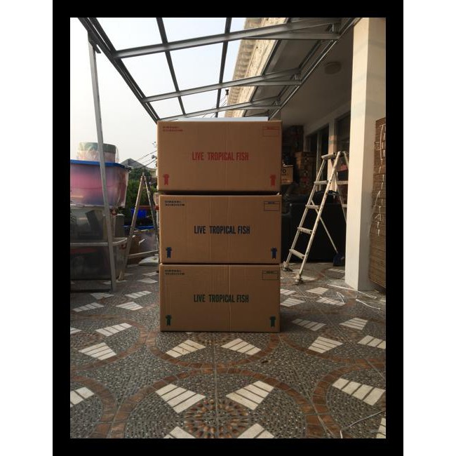 

Hot Product Kardus Bekas Untuk Packing 75.5 Cm X 42.5 Cm X 41.5 Cm Barang Bagus