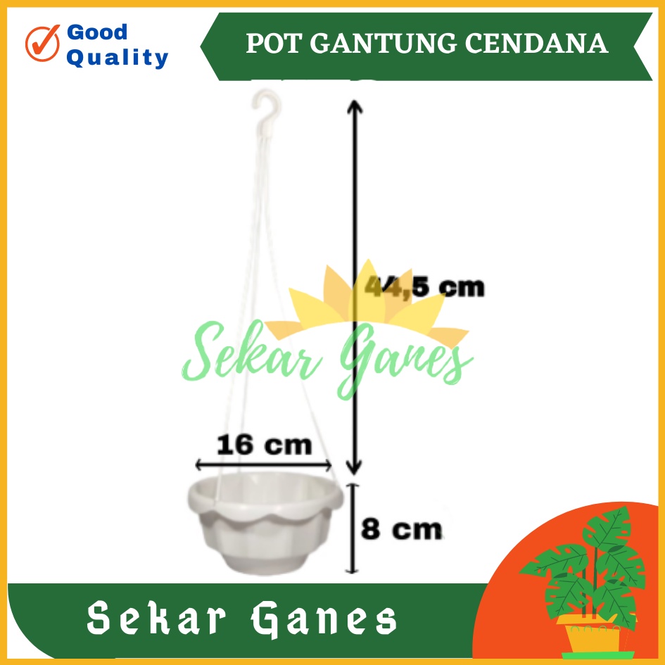 POT BUNGA GANTUNG CENDANA 16 CM - POT BUNGA LILI PARIS PEPEROMIA BEGONIA - BUKAN POT TAWON MURAH