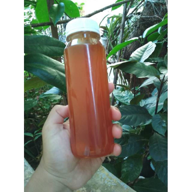 

Madu Hutan Asli 350gr
