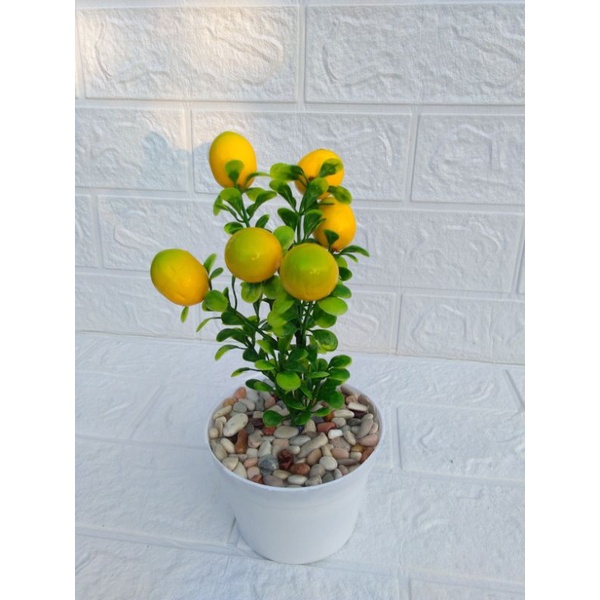 Rangkaian Buah Lemon Hiasan Meja Plastik
