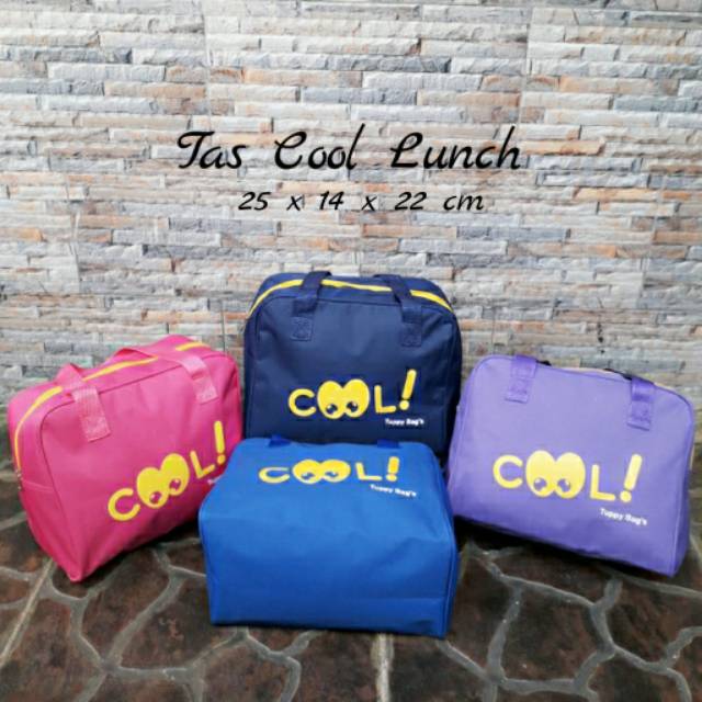 Tas Cool / Tas Coolteen / Handbag / Lunch Bag / tas bekal makan