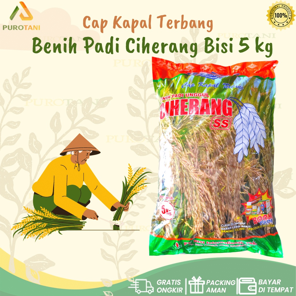 Benih Padi Unggul Ciherang Bisi 5 kg SS Kapal Terbang