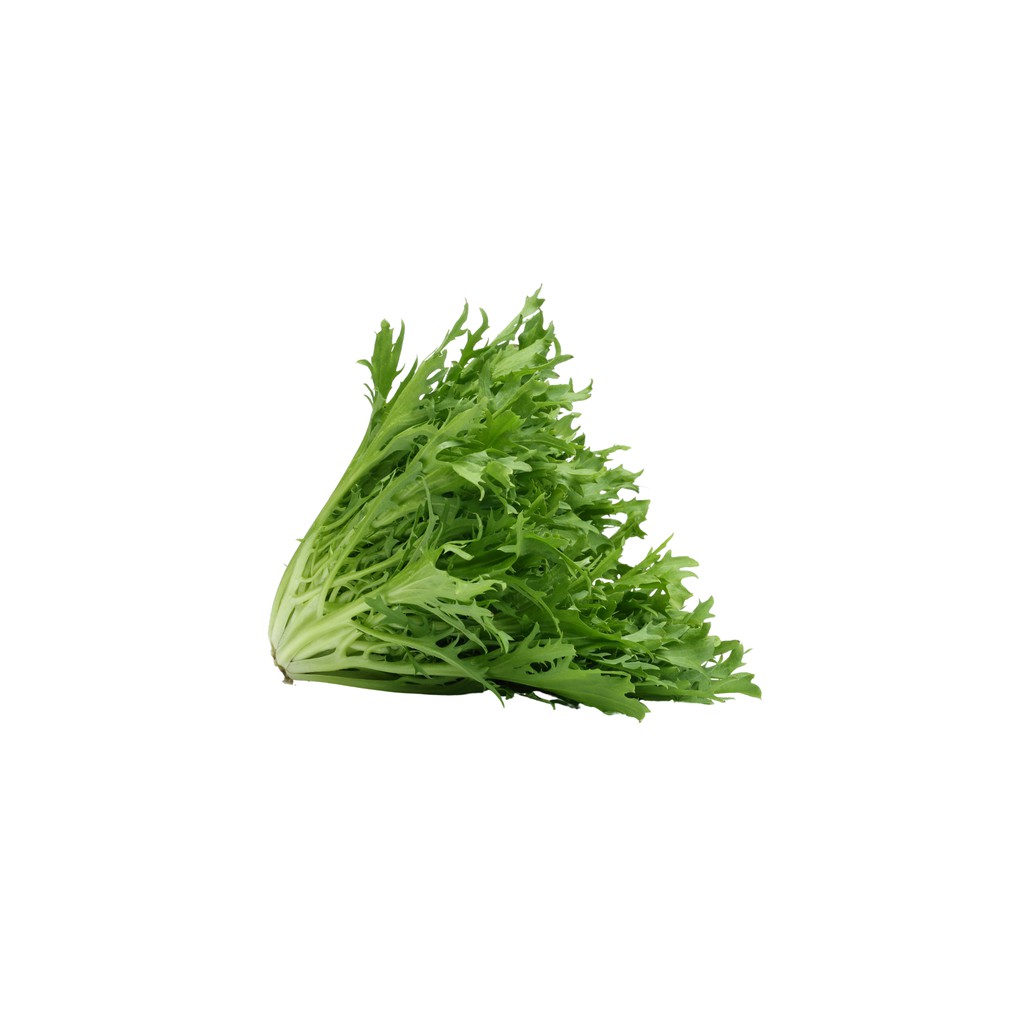 

SAYUR ORGANIK Endive