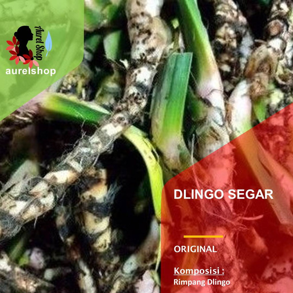 

Dlingo Segar 1 kg / Jeringau