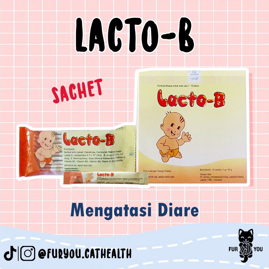 lacto b kucing lacto b obat diare kucing kucing diare