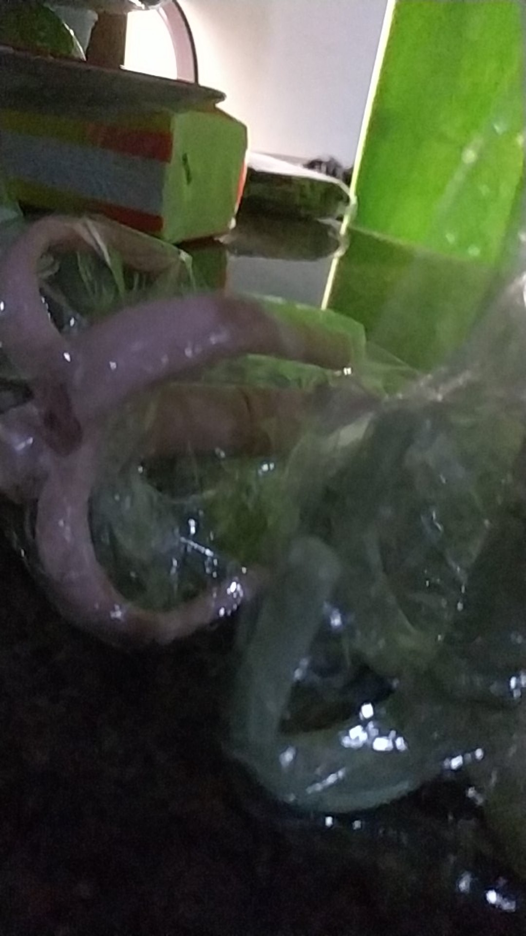 Gantungan Multifungsi Hanger Tas Topi Dasi Shall 4 Cantolan Gurita