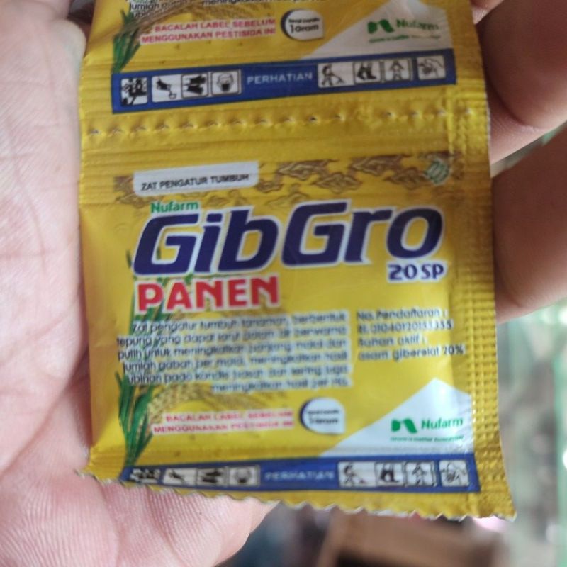 GIBRO PANEN