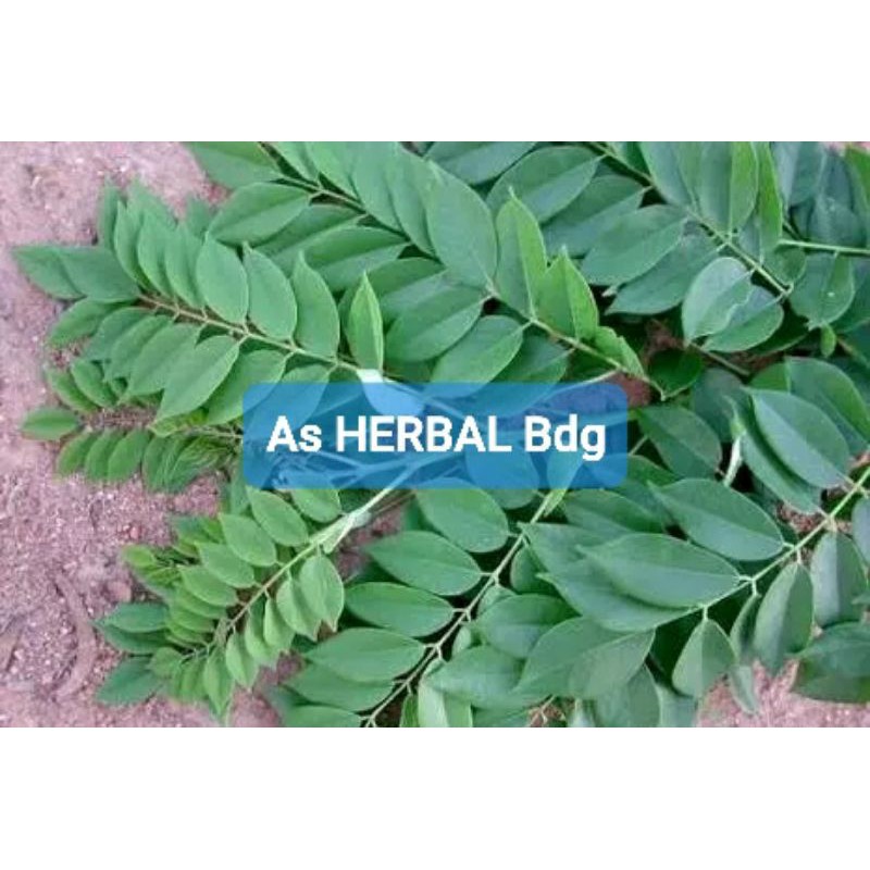 

Daun Gamal segar paket hemat 500 gram-az