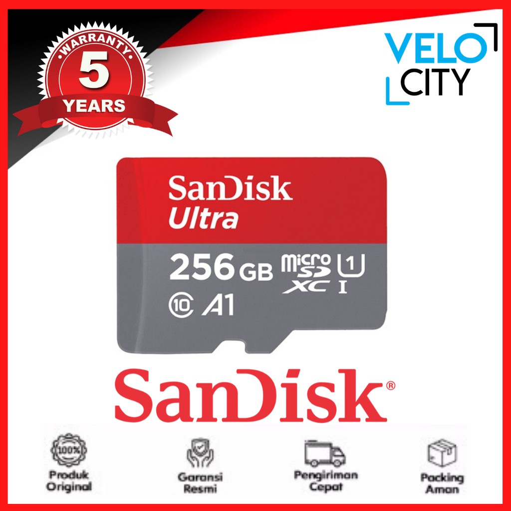 Memory Card Microsd Sandisk  256GB CLASS 10 100MBPS A1 Original Garansi 10 Tahun