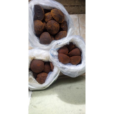 

gula aren