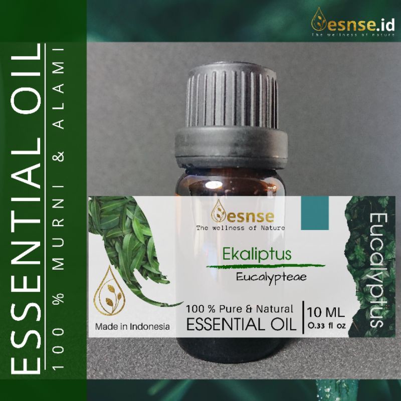 Essential Oil Eucalyptus / Minyak essential Ekaliptus / esnse Indonesia / Essential Oil Difusser aro