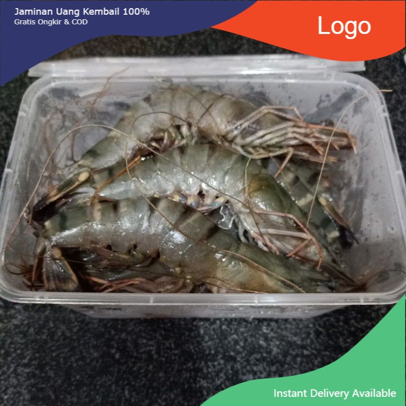 

Udang Pancet 500 Gram - Tiger prawn - Udang Windu - Udang Tiger - Udang Fresh - Udang Seger