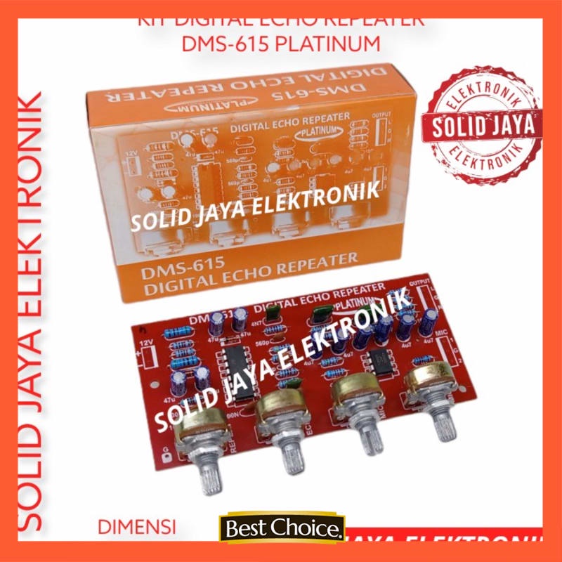 KIT DIGITAL ECHO REPEATER MIC KARAOKE DMS615 DMS 615 PLATINUM