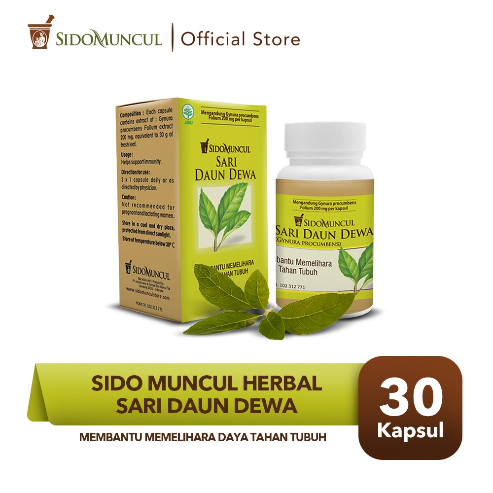 Jual Sido Muncul Herbal Sari Daun Dewa 30k Membantu Memelihara Daya Tahan Tubuh Shopee 4461