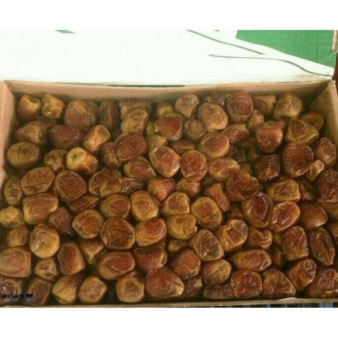 

Pp280 Kurma Sukari Jual Kurma Sukari Dijogja Cucuningwai