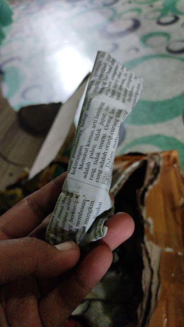 Kaktus Sukulen Paket 50 Pohon Bonus 50 Pot