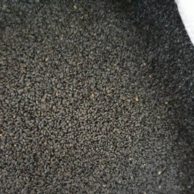 

Biji selasih basil seed 250 gram