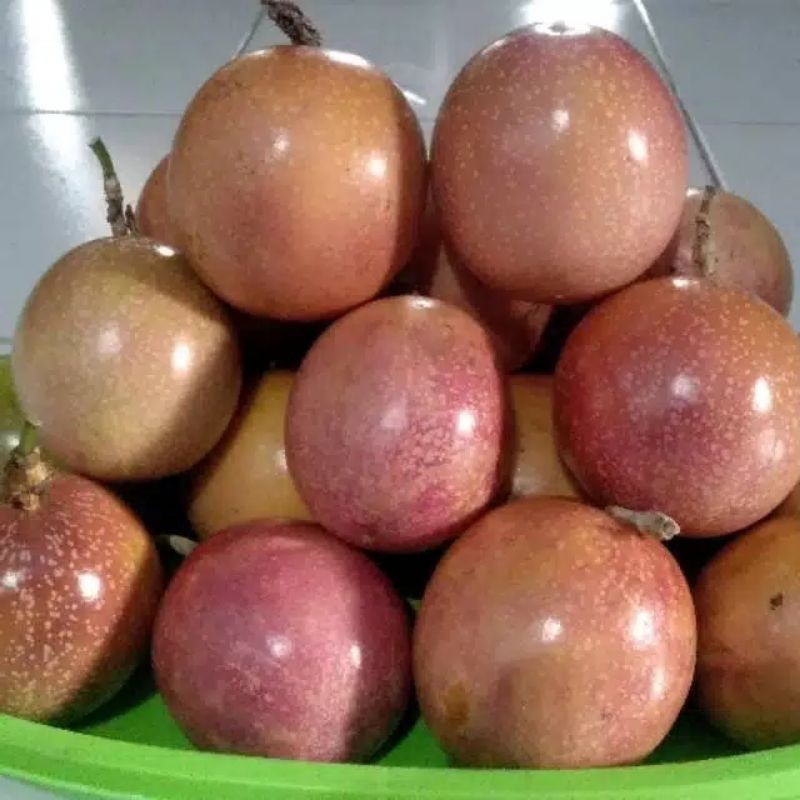 

Buah Markisa Merah segar fres 500 gram