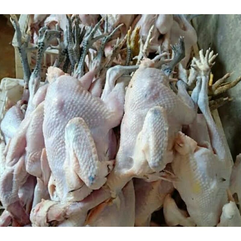 

AYAM KAMPUNG PER EKOR SAYUR SEGAR PALEMBANG