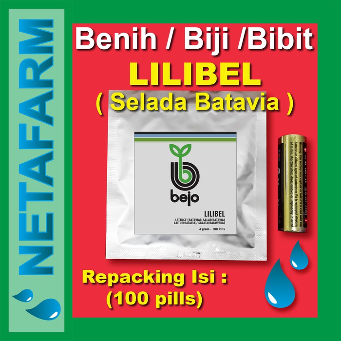 Benih / Biji / Bibit BEJO LILIBEL Selada Batavia 100 pills