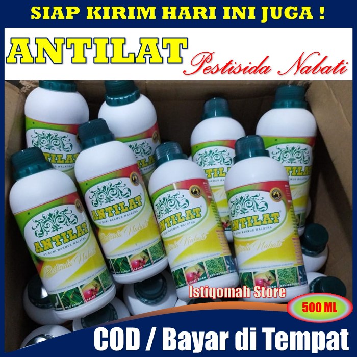 ANTILAT Pestisida Organik Nabati - Obat Pembasmi Hama Ulat Daun Cabe, Obat Ulat pada Tanaman Cabe, Obat Ulat untuk Cabe, Obat Ulat Buah Cabe, Mengatasi Ulat Buah &amp; Daun Cabe Cabai, dll - Insektisida Pembasmi Ulat Buah Pada Cabe - Obat Hama Ulat Cabe AMPUH