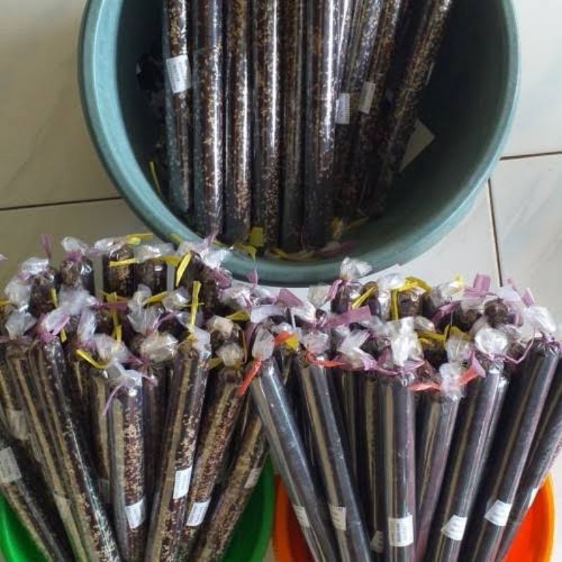 

DODO TENJO DODOL TENJO KHAS TENJO DODOL TENJO 2 PUTRI DODOL TENJO BANG ALDI DDODOL TENJO SELERA ANDA DODOL DODOL BETAWI DODOL WIJEN DODOL POLOS DODOL DODOL TENJO ENAK DODOL TENJO PALING ENAK DODOL TENJO FRES DODOL TENJO TER ENAK