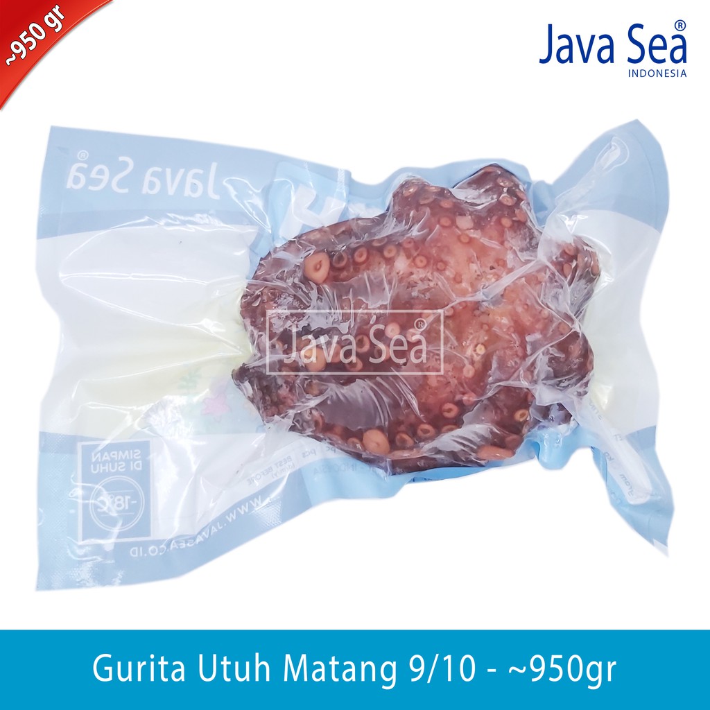 

Gurita Utuh sudah matang 9/10 pack 900-1000gr Java Sea