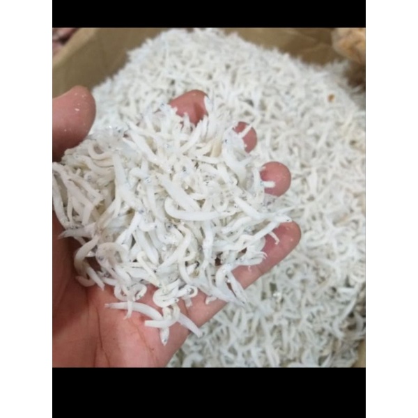

teri medan