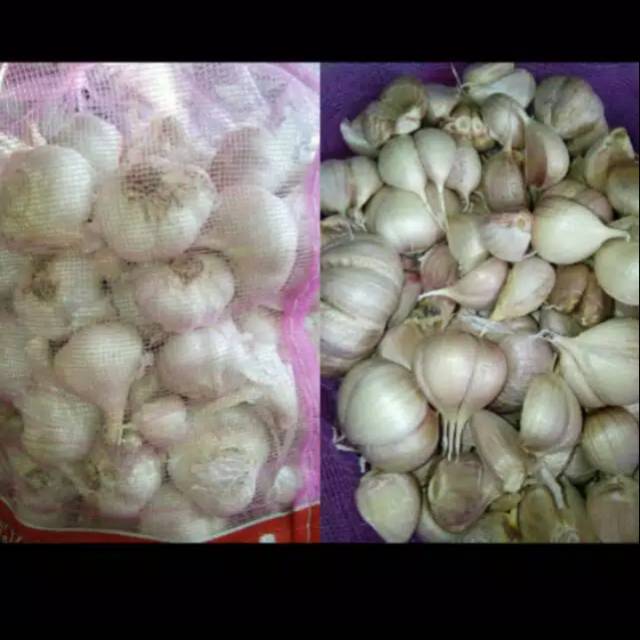 

Bawang putih kating