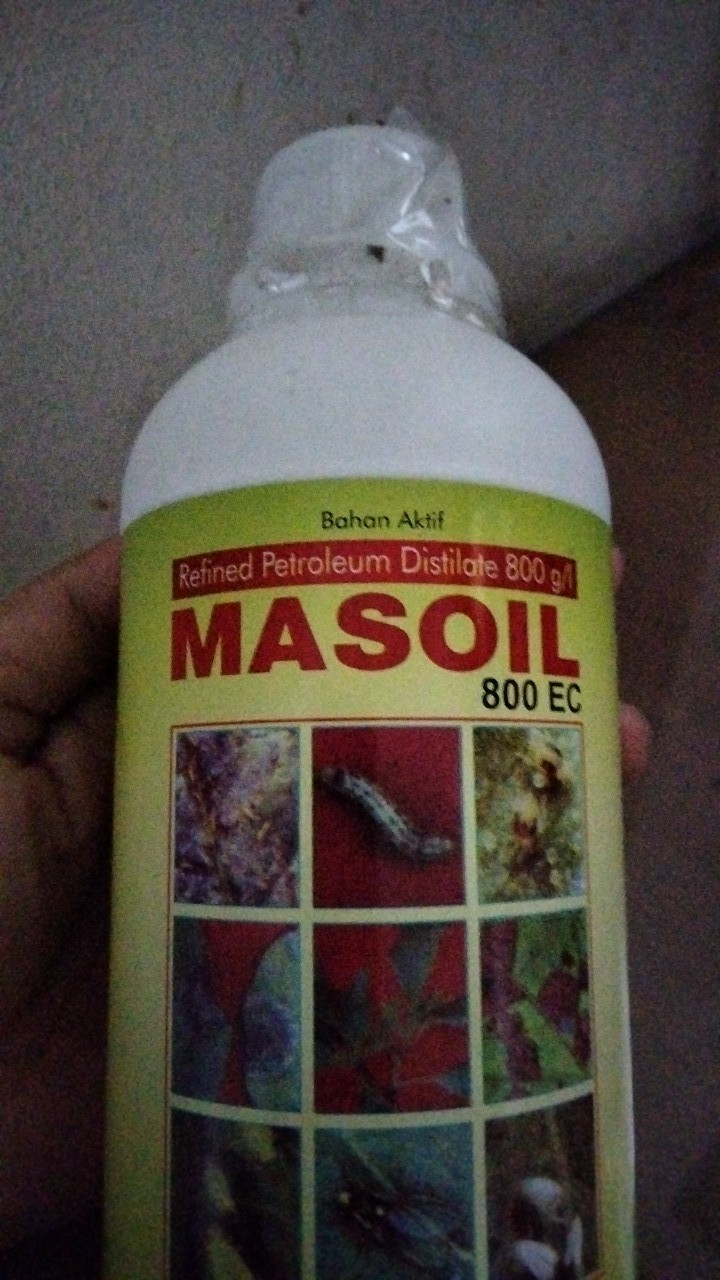 Perekat Perata Pestisida Masoil 800 Ec 500 Ml