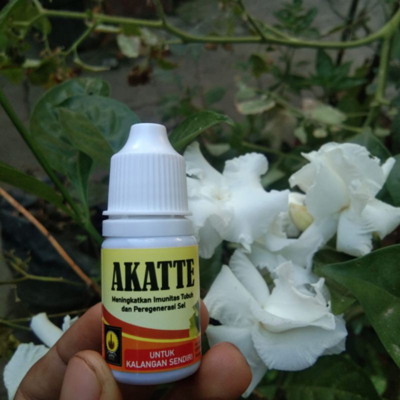 

Jamu Tetes AKATTE