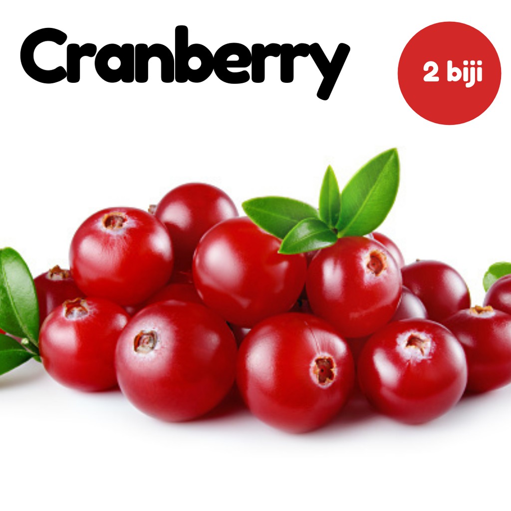 Menumbuhkan Cranberry Buatan Sendiri 10 Aturan Paling Penting Situs Tentang Taman Pondok Dan Tanaman Hias